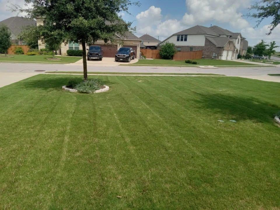Freshly mowed and edged lawn in Round Rock