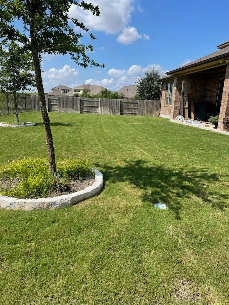 Freshly maintained residential yard in the Round Rock area