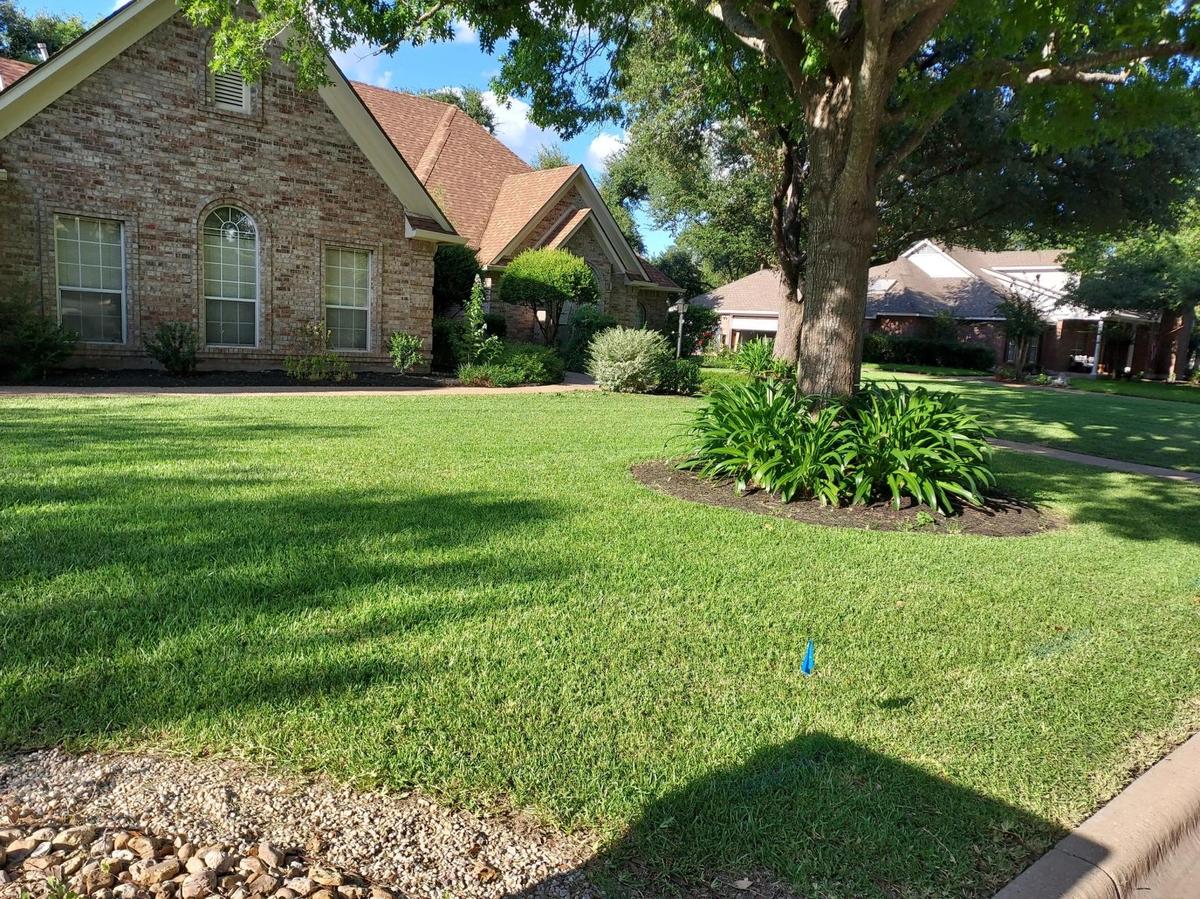 Fresh mulch and plantings in a garden bed