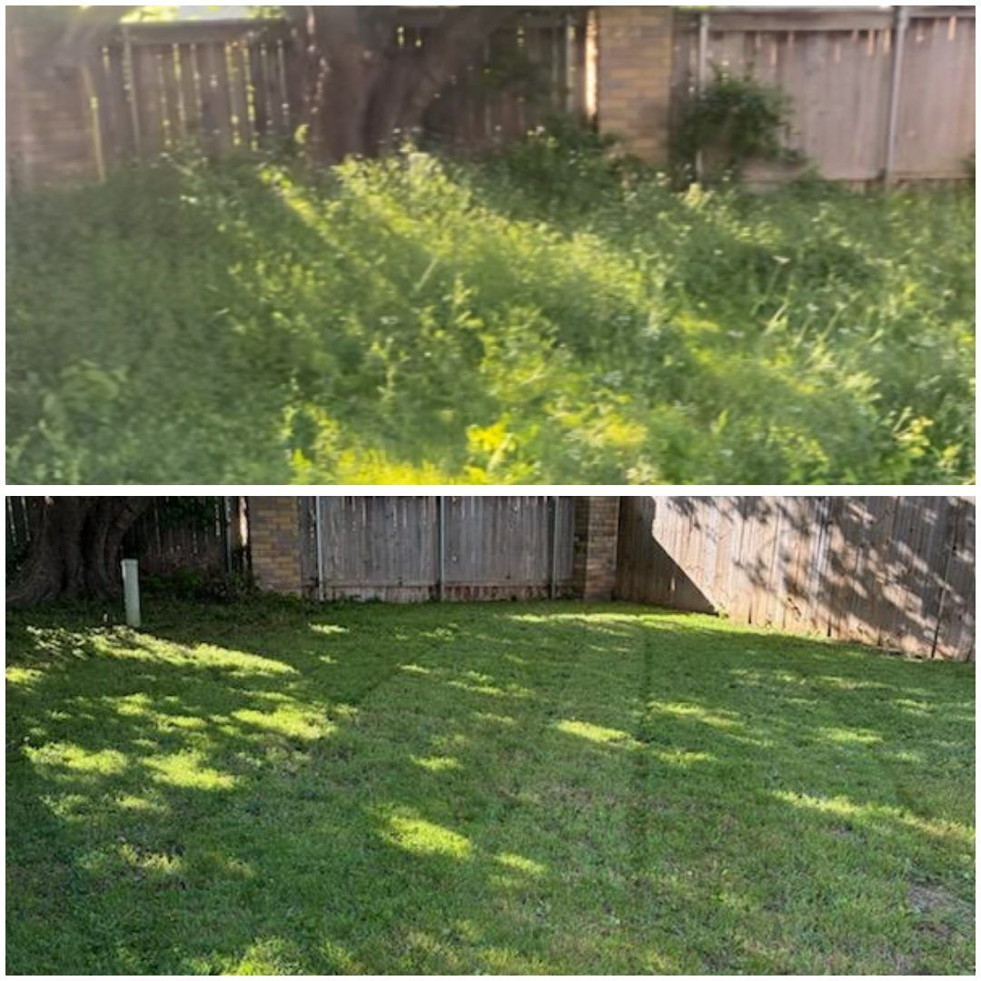 Overgrown backyard before mowing (top) and the same backyard freshly mowed (bottom)